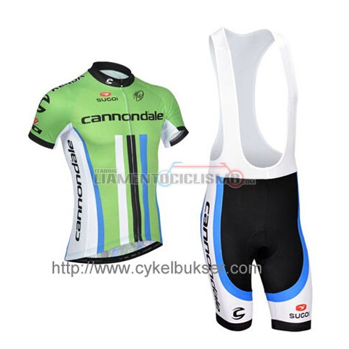 Abbigliamento Ciclismo Canonodale 2014 verde e bianco
