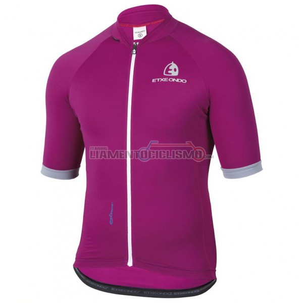 2017 Abbigliamento Ciclismo Etxeondo Entzun Manica Corta Viola